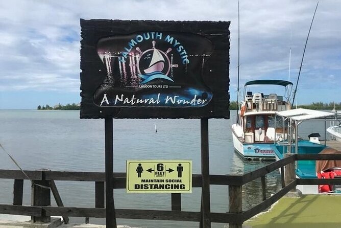 Luminous lagoon Dark night Tour from Ocho Rios and Runaway Bay Hotels - Swimming in the glowing water