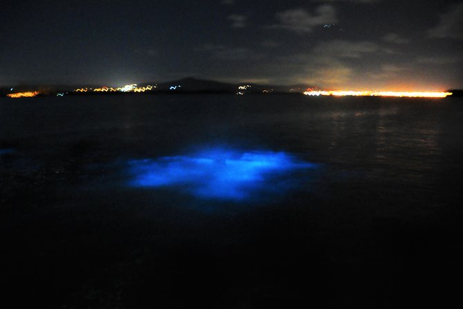 Luminous Lagoon "Glistening Waters" Tour from Grand Palladium Resorts - The boat size and group problem
