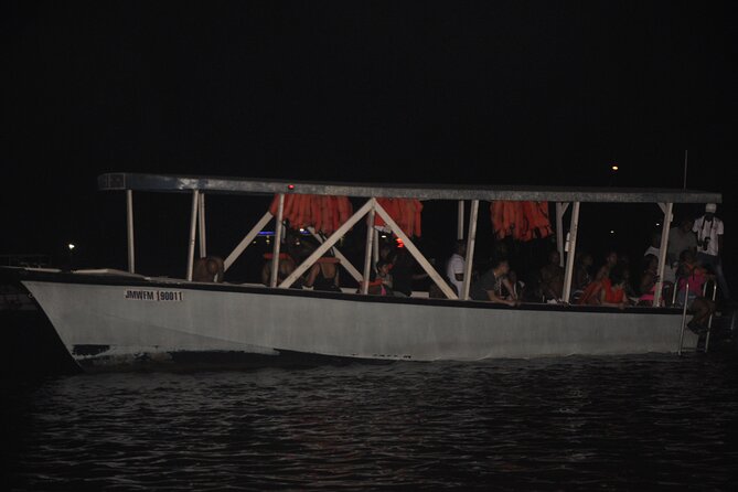 Luminous Lagoon Night Tour from Montego Bay - Why the Luminous Lagoon glows at night