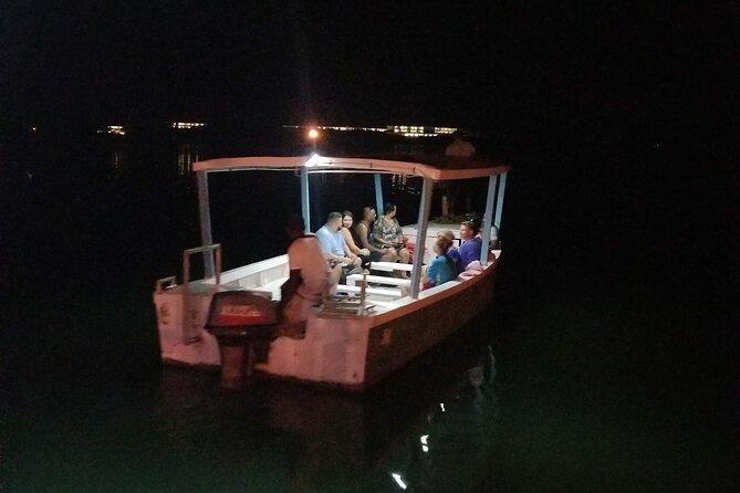 Luminous Lagoon Night Tour from Montego Bay - What $54 buys you