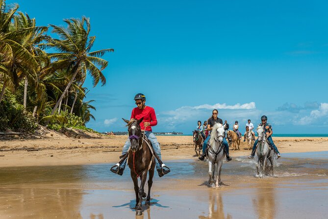 Luquillo Beach Horse Ride from Carabalí Rainforest Adventure Park - Key details before you book