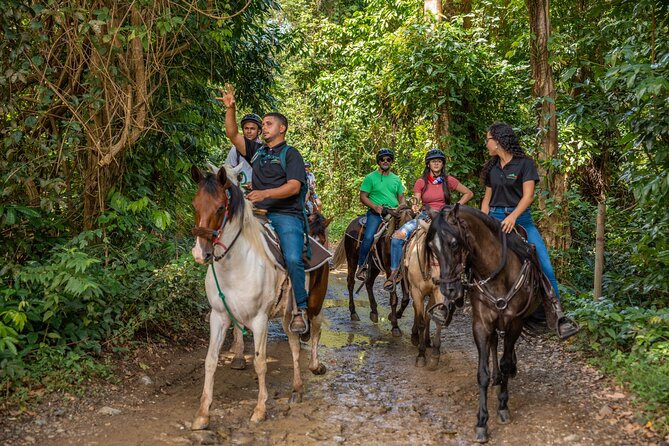 Luquillo Beach Horse Ride from Carabalí Rainforest Adventure Park - From Carabalí Park into the Puerto Rican countryside