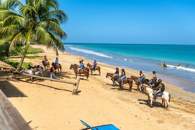 Luquillo Beach Horse Ride from Carabalí Rainforest Adventure Park - Reaching Luquillo Beach by horseback