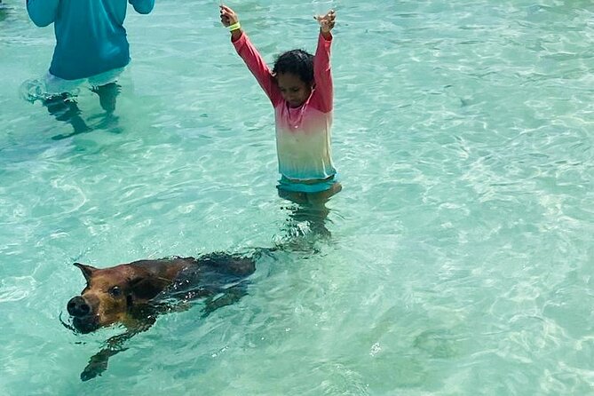 Luxury Catamaran Cruise: Sip, Sail, Snorkel, and Swim with Pigs! - Snorkeling on a coral reef