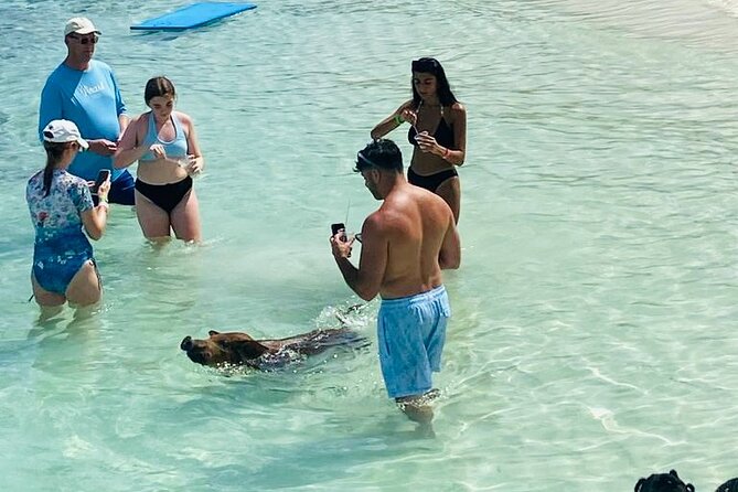 Luxury Catamaran Cruise: Sip, Sail, Snorkel, and Swim with Pigs! - Food, drinks, music, and the onboard mood