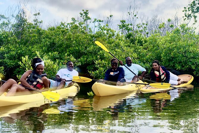 Magic Mangrove Paddle in Beef Island Lagoon - How much value do you get for $105?
