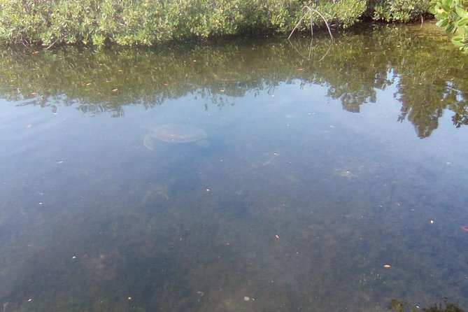 Mamma Gal East End Native Experience - Lucayan National Park: caves, mangroves, and beach