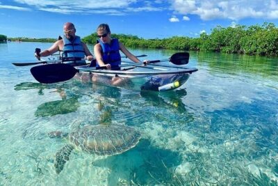 Mangrove Cay Tour