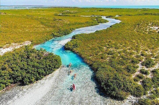 Mangrove Cay Tour - The guides shape the experience