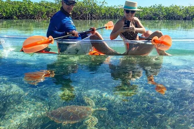 Mangrove Cay Tour - Who should book this tour?