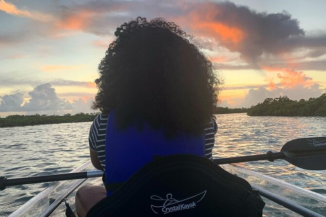 Mangrove Clear Kayak Tour - Seeing Turks and Caicos from below the kayak