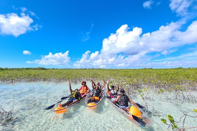 Mangrove Clear Kayak Tour - How strenuous is the paddling?