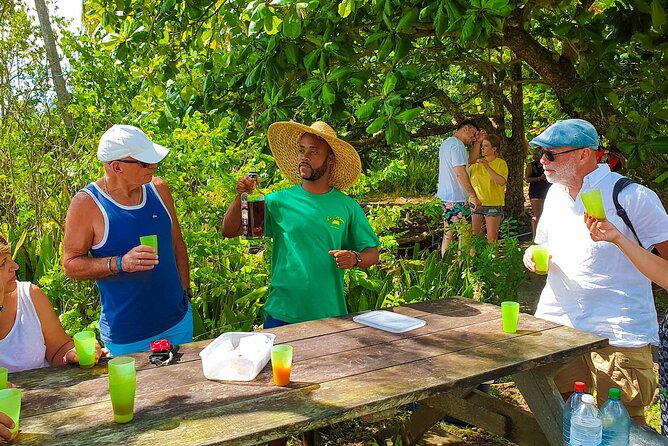 Mangrove Guided Tour - Timing, meeting point, and practical planning