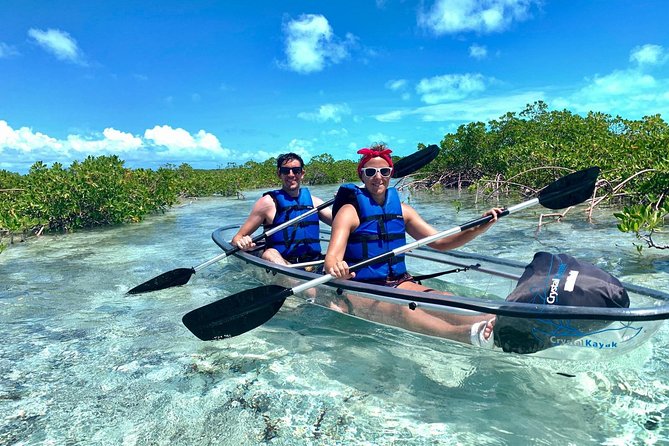 Mangrove & Iguana Clear Kayak Tour - Clear kayaks and the hidden life of Mangrove Cay