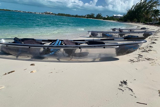 Mangrove & Iguana Clear Kayak Tour - The ride to the mangroves and Iguana Island