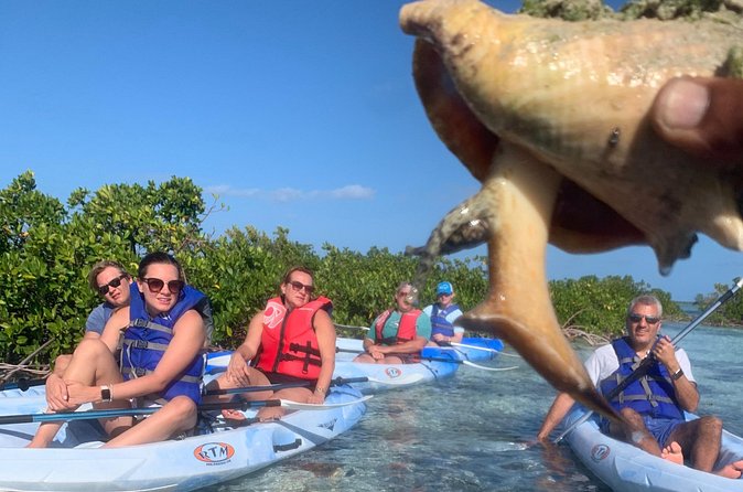Mangroves Kayak Tour - Tides and wind can change the plan
