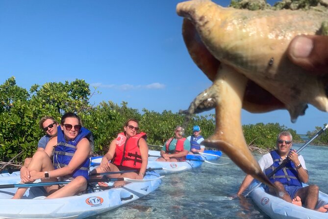 Mangroves Kayak Tour - What to know before you book