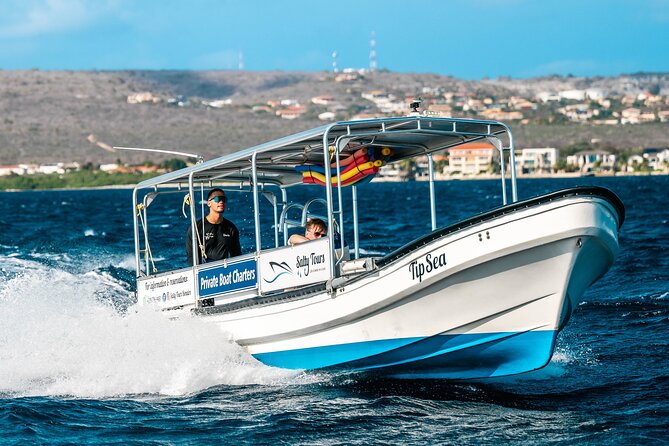 Marine Park - Private Boat charter with LOCAL Captain/ Guide - Timing, weather, and practical details