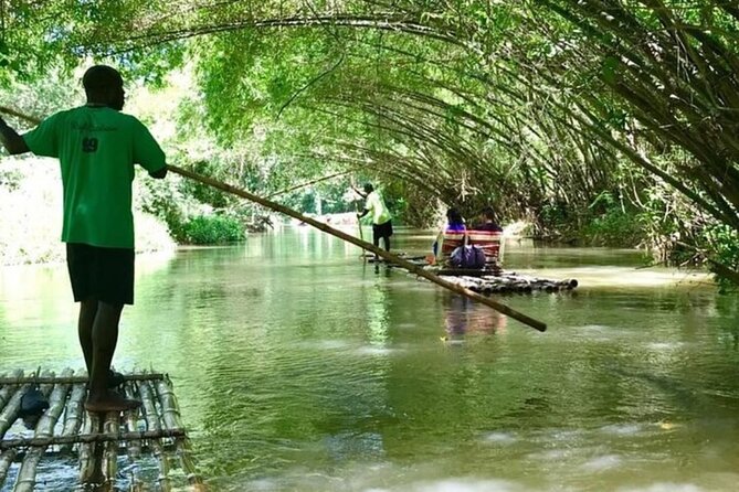 Martha Brae Rafting Private Tour - Plants, birds, bamboo, and local stories