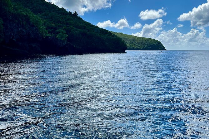 Martinique : Anse Coralienne & Tortues - What the snorkeling is really like