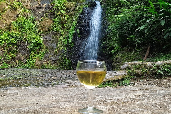Martinique flavors in the rainforest and St Pierre - Pile et Face - What makes this tour worth considering