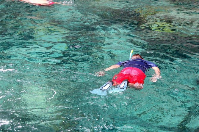 Martinique : Observation des dauphins et snorkeling - Rum, fruit, and the post-snorkel break