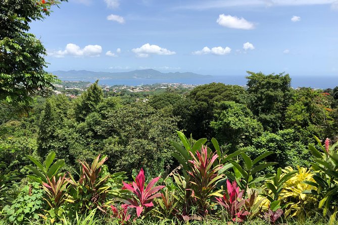 Martinique Shore Excursion - Unmissable Martinique North tour - What happened to the rum distillery visit