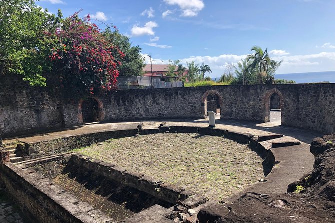 Martinique Shore Excursion - Unmissable Martinique North tour - The minivan matters more than you might expect