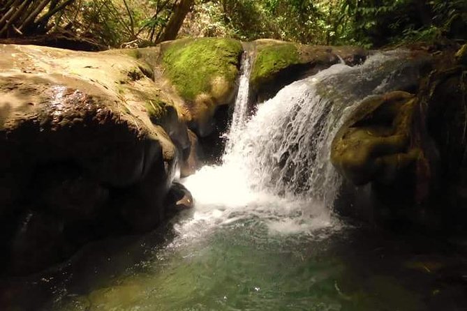 Mayfield Falls nature walk - Key points at a glance