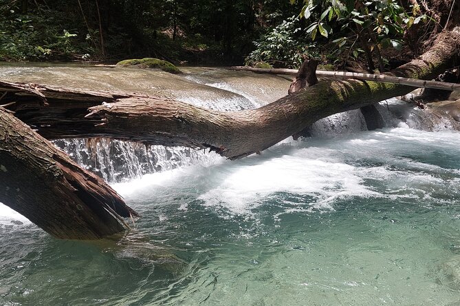 Mayfield Falls nature walk - Michael, Comfy, and the human side of the tour