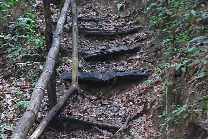 Mayfield Falls nature walk - Price, timing, and what you receive