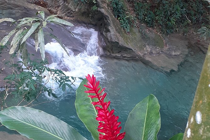 Mayfield Falls nature walk - Who should book this experience