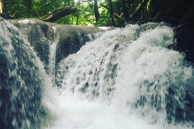 Mayfield Falls Tour with Lunch, drink, Entry & Transp(Original) - Who will enjoy this most?