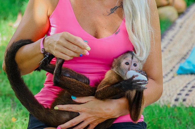 Monkey House VIP Experience with 4 species of monkeys, Punta Cana - Pickup can be useful, but confirm the meeting point