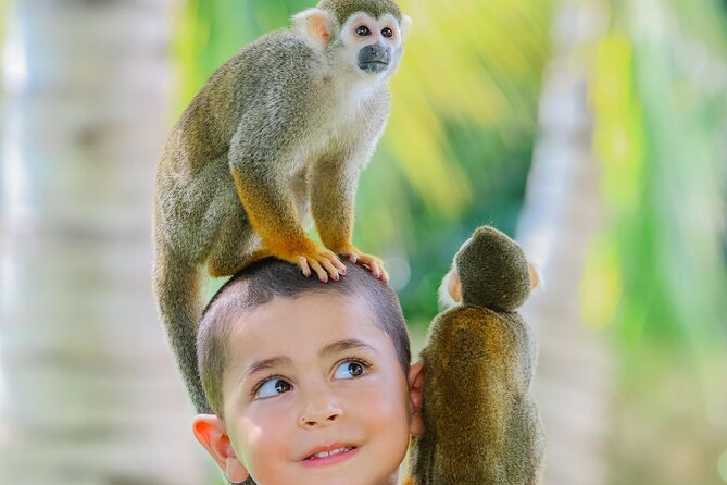 Monkey House VIP Experience with 4 species of monkeys, Punta Cana - Is the setting private or shared?