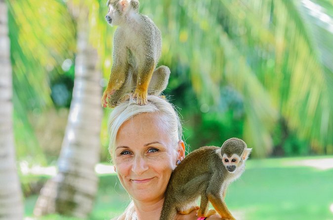 Monkey House VIP Experience with 4 species of monkeys, Punta Cana - The drawbacks beyond the photo bill