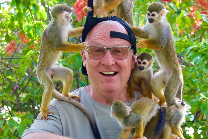 Monkey House VIP Experience with 4 species of monkeys, Punta Cana - The photo system deserves careful attention
