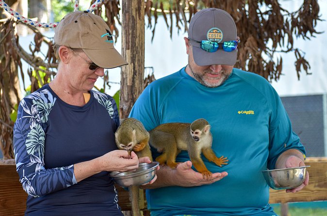 Monkey Mania Puerto Plata - Umbrella Street, Pink Street, and central Puerto Plata