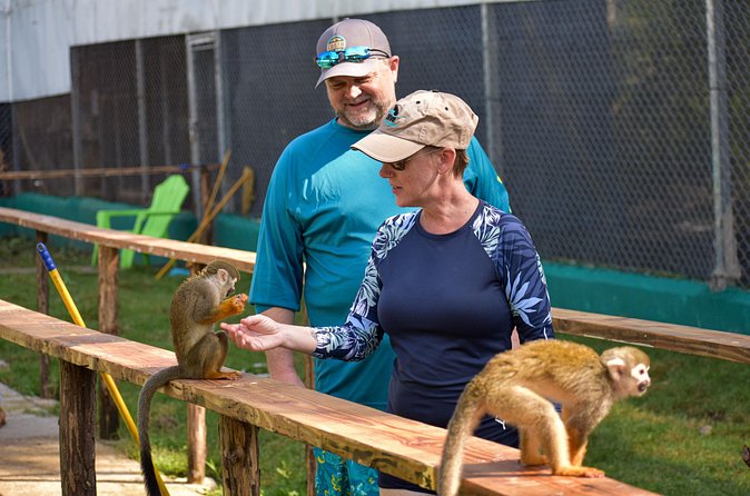 Monkey Mania Puerto Plata - Why the $75 price can make sense