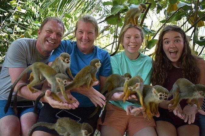 Monkey Mania Puerto Plata - Timing, group size, and comfort