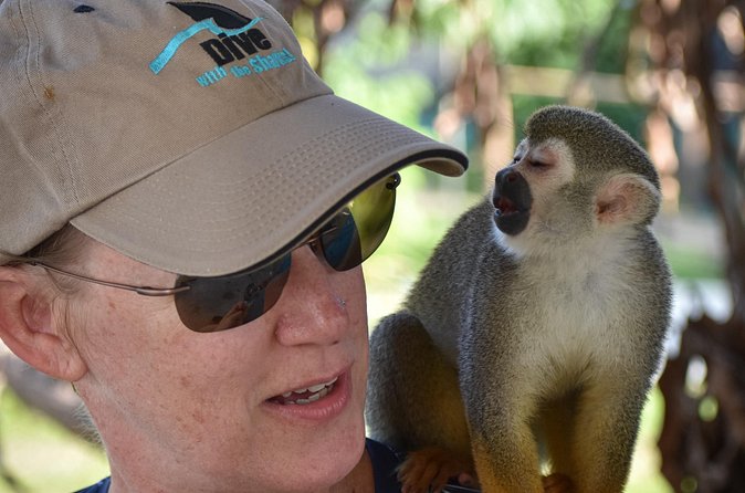Monkey Mania Puerto Plata - Who will enjoy Monkey Mania most