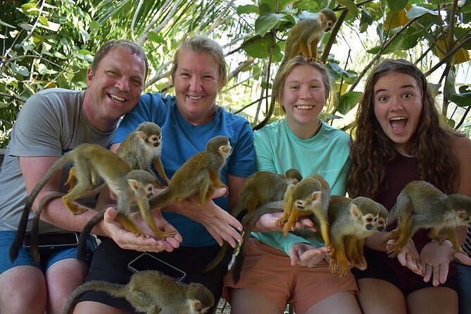 Monkey Mania Puerto Plata - What happens during the 50-minute monkey visit