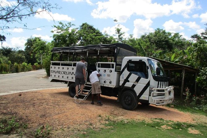 Monkeyland and Plantation Safari from La Romana - Meeting the monkeys at Monkeyland