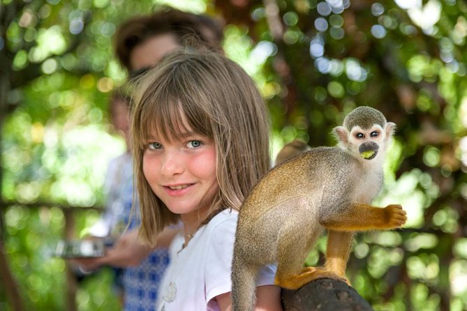 Monkeyland and Plantation Safari from La Romana - What the guide adds to the day