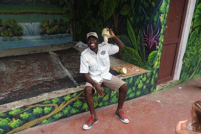 Monkeyland and Plantation Safari from La Romana - Practical tips for a smoother visit