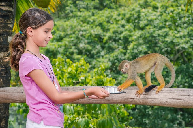 Monkeyland and Plantation Safari from La Romana - Should you book Monkeyland and Plantation Safari?
