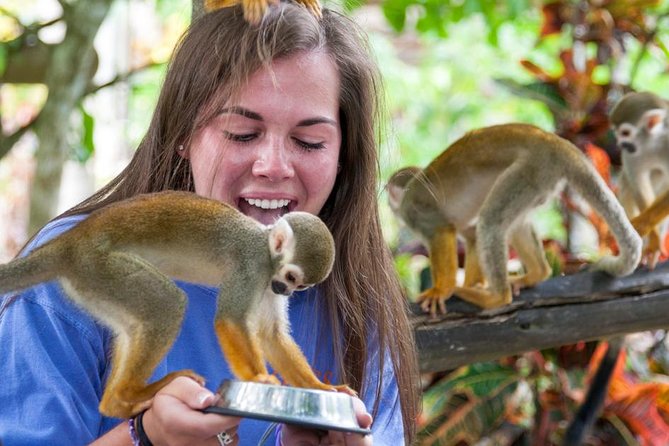 Monkeyland and Plantation Safari from La Romana - The open-air safari truck ride from La Romana