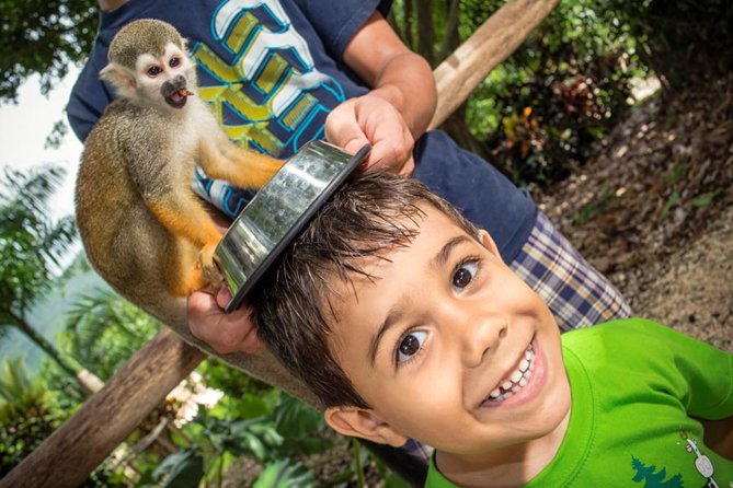 Monkeyland and Plantation Safari Tour from Punta Cana - Arriving at the five-acre Monkeyland sanctuary