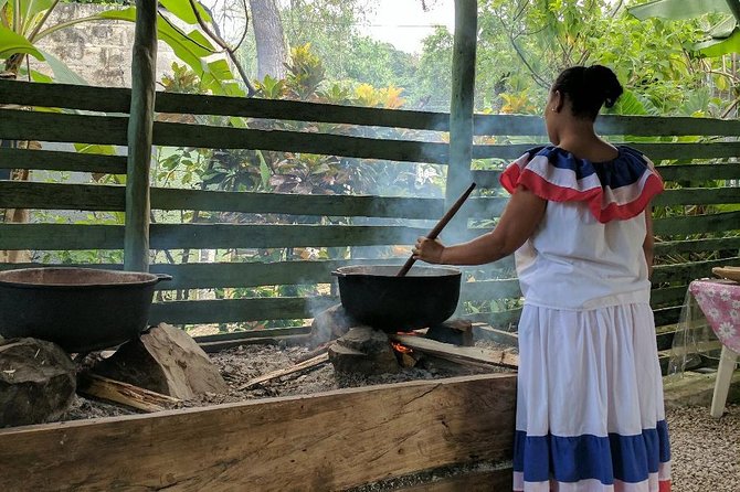 Monkeyland and Plantation Safari Tour from Punta Cana - Is $80 a fair price?