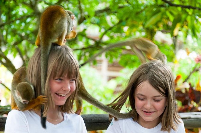 Monkeyland and Plantation Safari Tour from Punta Cana - Who should book this experience?
